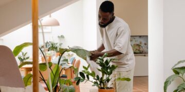 As 3 plantas mais fáceis de cuidar para você ter na sua casa